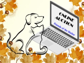 online auction graphic