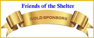 Gold Sponsors banner