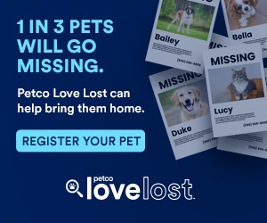 PetCo Lost Love can help bring them home register your pet